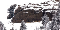 Big Horn at Moose Head Rock