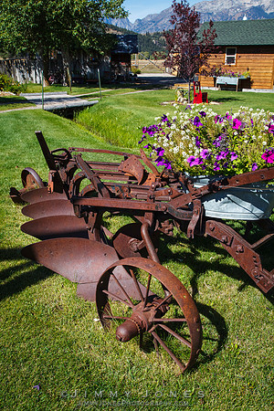 Mormon Row Scenic View