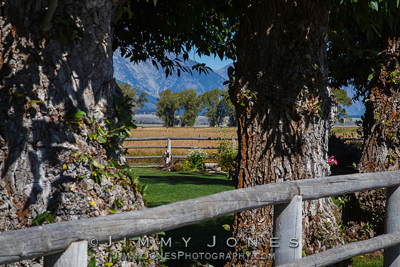 Mormon Row Scenic View