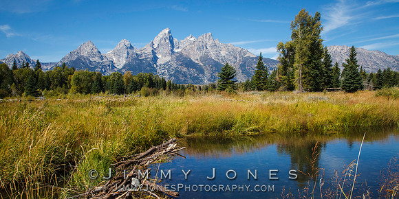 Beaver Pond at Grand Tetons