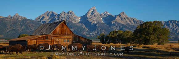 Moulton Barn. Mormon Row