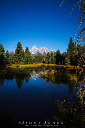 Beaver Pond at Grand Tetons
