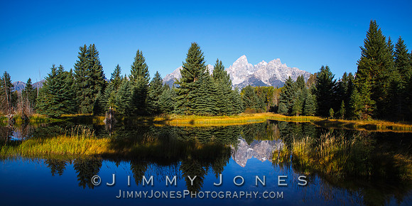 Beaver Pond at Grand Tetons