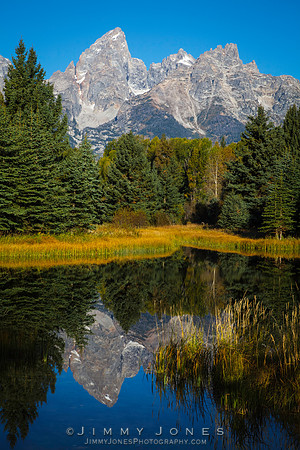 Beaver Pond at Grand Tetons
