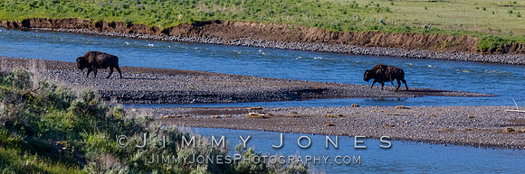 Bison River Crossing