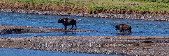Bison River Crossing