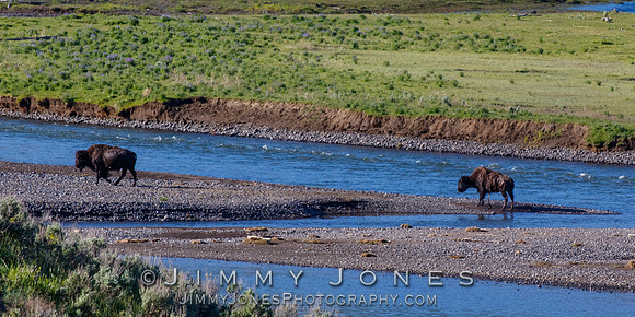 Bison River Crossing