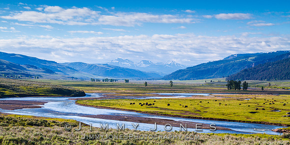 Yellowstone's Lamar Valley