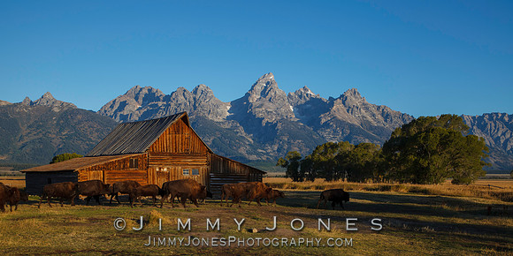 Moulton Barn. Mormon Row