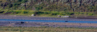 Junction Butte Wolf River Crossing