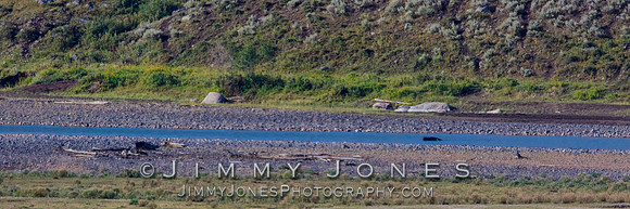 Junction Butte Wolf River Crossing