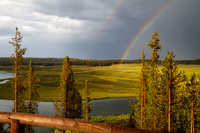 Hayden Valley