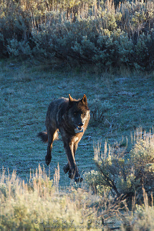 Junction Butte Pack / 889f