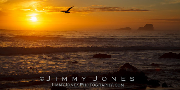 Pacific Sunset