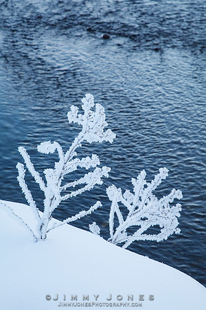 Hoar Frost