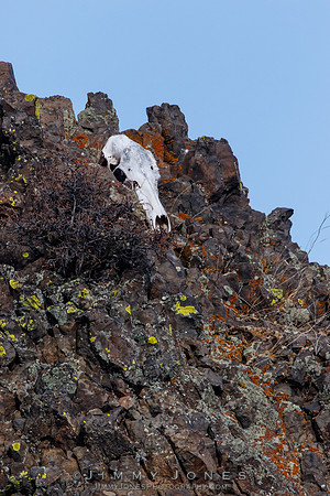 Skull Rock