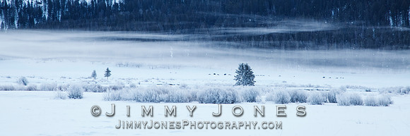 Round Prairie in Morning Fog
