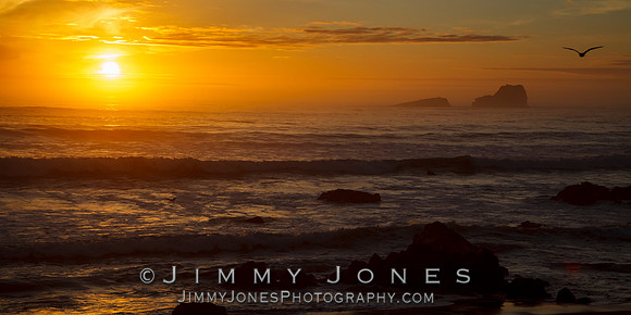 Pacific Sunset