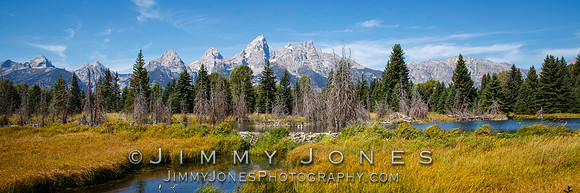 Beaver Ponds at Grand Tetons - BS/P0111
