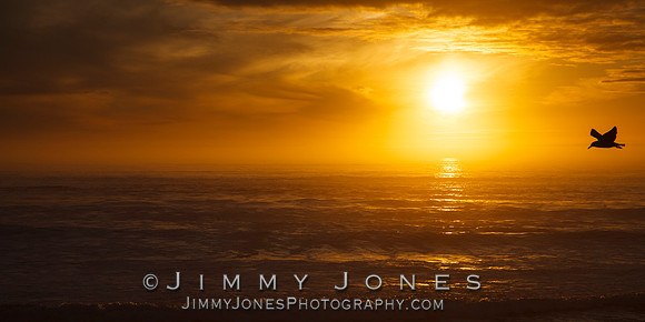 Pacific Sunset