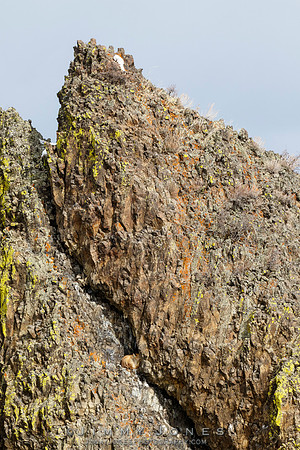 Skull Rock and Red Fox