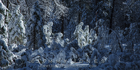 Wandering Snow Ghosts