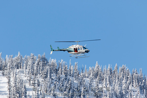 Wolf Project Collaring Chopper