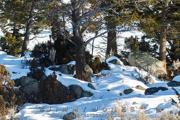 Winterscape