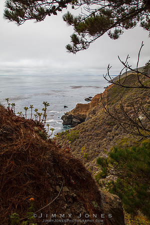 California Pacific Coast