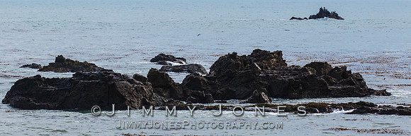 California Seascape