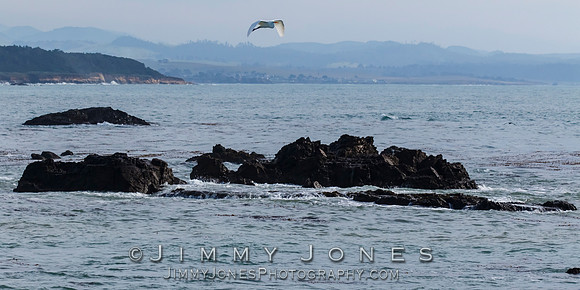 California Seascape