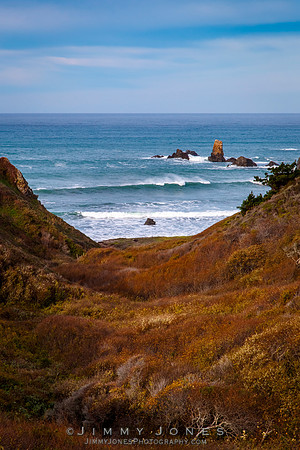 California Seascape