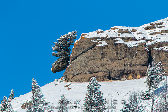 Moose Head Rock