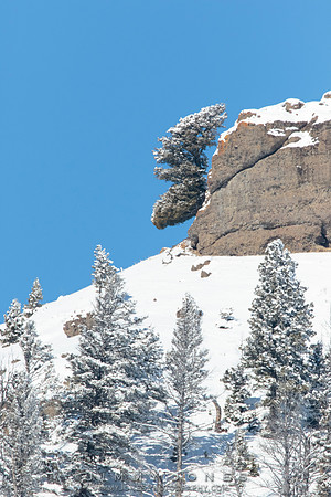 Moose Head Rock
