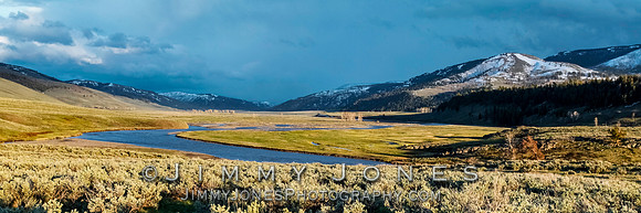 Lamar Valley ~ Yellowstone - BS/P0064