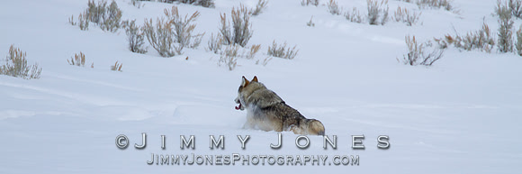 Junction Butte Alpha 870f